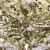 Трикотажное полотно, Сетка с пайетками, шир.130 см, #315, цв.-белый/золото - купить в Владикавказе. Цена 693.39 руб.
