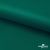 Ткань подкладочная Таффета, 19-5420, 53 г/м2, антистатик, шир. 150 см, вечнозеленый - купить в Владикавказе. Цена 57.16 руб.