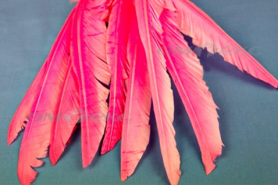 Декоративный Пучок из перьев, перо 25см/розовый - купить в Владикавказе. Цена: 14.40 руб.
