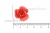 Украшение "Розы малые №1" 20мм - купить в Владикавказе. Цена: 32.49 руб.
