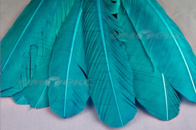 Декоративный Пучок из перьев, перо 24см/голубой - купить в Владикавказе. Цена: 12.19 руб.