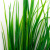 Трава искусственная -2, шт (осока 41см/8 см)				 - купить в Владикавказе. Цена: 104.57 руб.