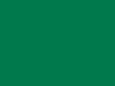 85 см № 258 яр. зеленый спираль (G) сорт-2 - купить в Владикавказе. Цена: 16.97 руб.