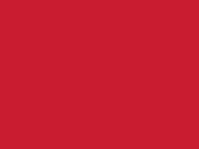 Сетка подкладочная красный, 60г/м2 (10 м/кг) - купить в Владикавказе. Цена 885.73 руб.