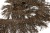 008-коричневый, Бахрома арт.001 шир.10см (упак.12+/-0,5м) - купить в Владикавказе. Цена: 1 017.33 руб.