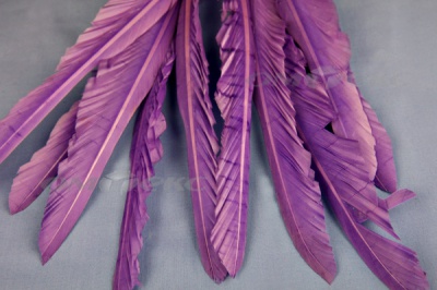 Декоративный Пучок из перьев, перо 25см/фиолетовый - купить в Владикавказе. Цена: 12.19 руб.