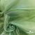 Ткань органза, 100% полиэстр, 28г/м2, шир. 150 см, цв. #27 зеленый - купить в Владикавказе. Цена 86.24 руб.