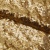 Сетка с пайетками №3, 188 гр/м2, шир.140см, цвет золотой - купить в Владикавказе. Цена 454.12 руб.