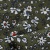 Плательная ткань "Фламенко" 11.2, 80 гр/м2, шир.150 см, принт растительный - купить в Владикавказе. Цена 259.21 руб.